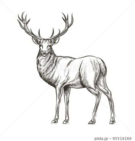 鹿 動物 ロゴ アイコンのイラスト素材