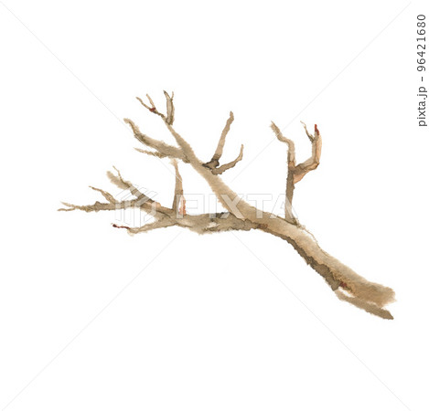 樹木 木 枯れ木 寂しいのイラスト素材 - PIXTA