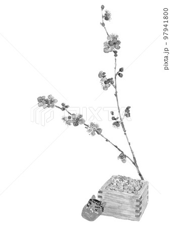 水墨画 節分 梅 イラストのイラスト素材 - PIXTA