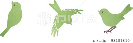 ウグイス 水彩 小鳥 鳥のイラスト素材 - PIXTA