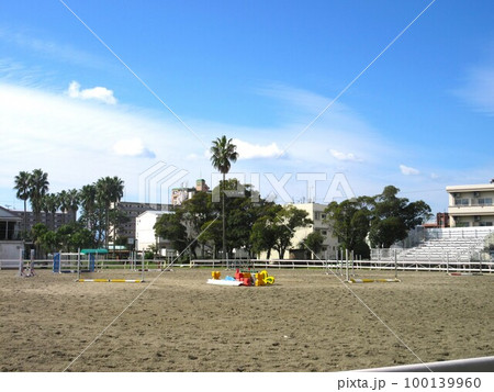 馬のいる景色の写真素材 - PIXTA