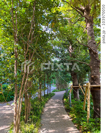 大型マンションのアプローチのイメージ