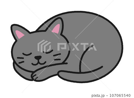 寝る 寝顔 猫 イラストのイラスト素材 - PIXTA
