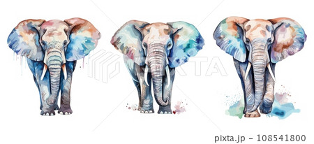 水彩画 動物 ぞう ゾウのイラスト素材 - PIXTA