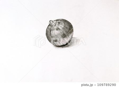 玉ねぎの鉛筆画 静物画玉ねぎ Naoya Ohtani on X: 