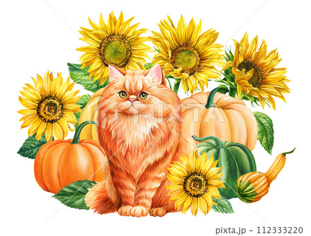 ねこ ネコ 猫 ひまわりのイラスト素材 - PIXTA ねこ ネコ 猫 ひまわりのイラスト素材 - PIXTA