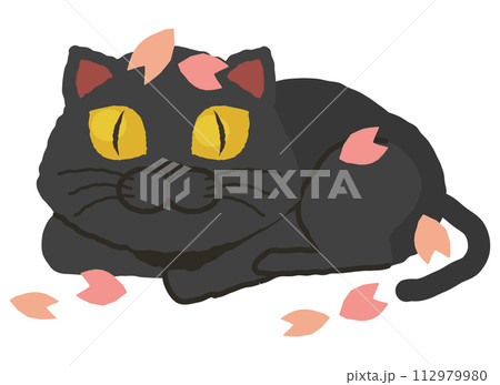 黒猫 猫 睡眠 動物のイラスト素材 - PIXTA 黒猫 猫 睡眠 動物のイラスト素材 - PIXTA