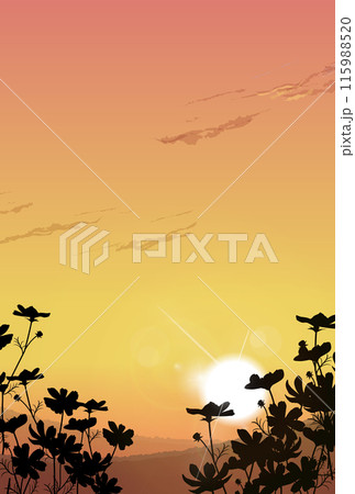 コスモス 夕日 夕陽 秋桜のイラスト素材 - PIXTA