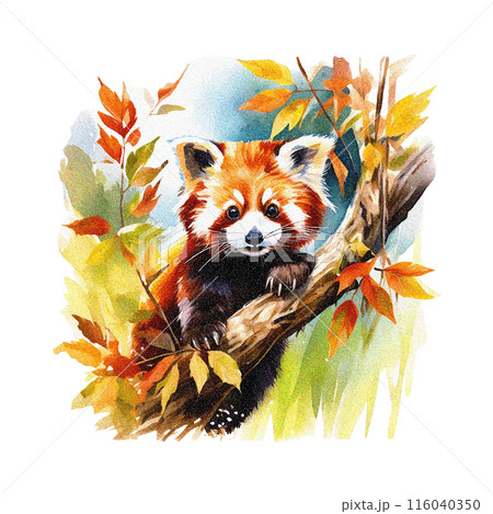 動物 水彩画 レッサーパンダ イラストのイラスト素材 - PIXTA