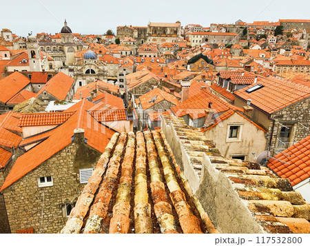 メロウグラスさんの赤い屋根の街並み プラハ・ウィーンある記 5 - 善福寺公園めぐり