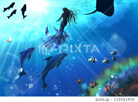 イルカ 海 海中 泳ぐの写真素材 - PIXTA