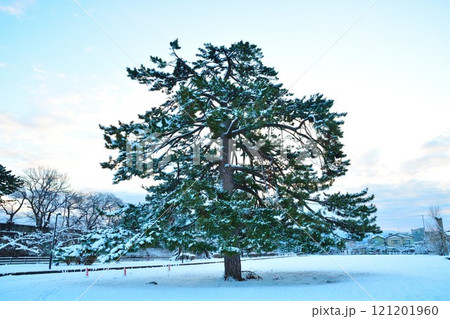 新発田城 冬 雪 冬景色の写真素材 - PIXTA