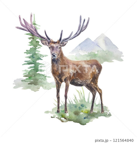 水彩画「鹿」 sddefault.jpg