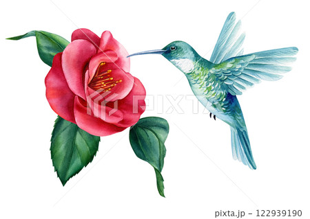 ハチドリと花のアクリル画 Hummingbird 原画　アート 川崎乃佳 Nonoka Kawasaki | 星空の中のハチドリとダリア 花の
