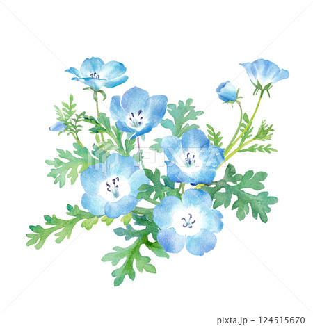 テクスアート 風景 ネモフィラ 青い花 ブルーフラワー 丘 花の絵