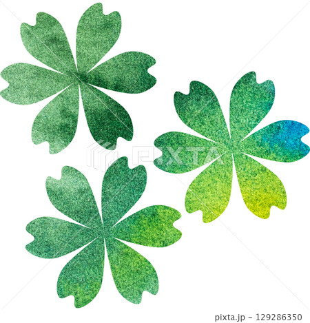 クローバー シロツメクサ 花 水彩のイラスト素材 - PIXTA