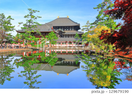 大仏池の写真素材 - PIXTA