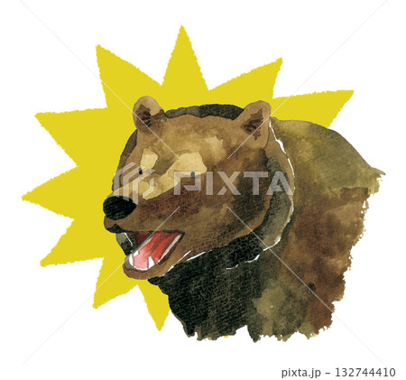 熊 ヒグマ キバ 牙の写真素材 - PIXTA