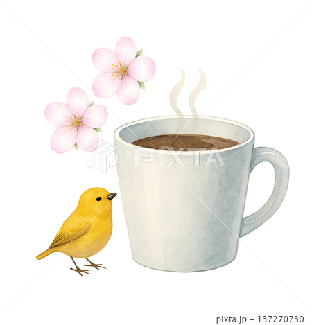 コーヒーと桜と小鳥 水彩イラスト 春 カフェタイム ナチュラル素材の
