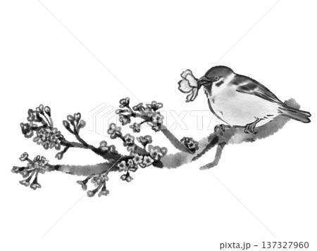 雀 鳥 水墨画 野鳥のイラスト素材 - PIXTA